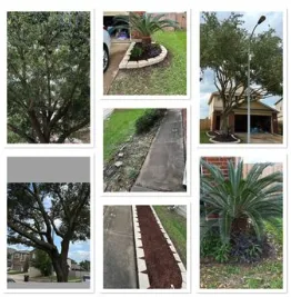 Custom landscape design near you in Canton, TX by Precision Tree & Landscape services