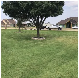 Trusted yard maintenance in Canton, TX by Precision Tree & Landscape services