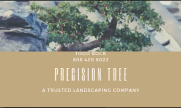 Professional garden landscaping in Amarillo, TX by Precision Tree and Landscape