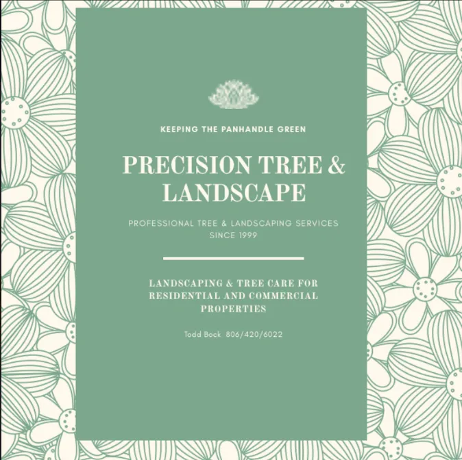 Reliable lawn mowing service for residential properties across Amarillo, TX - Precision Tree and Landscape