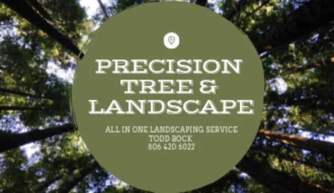 Expert yard cleanup service in Amarillo, TX by Precision Tree and Landscape