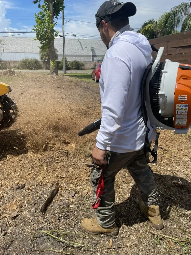 Affordable outdoor landscaping in Brandon, FL - Precision Tree and Landscape