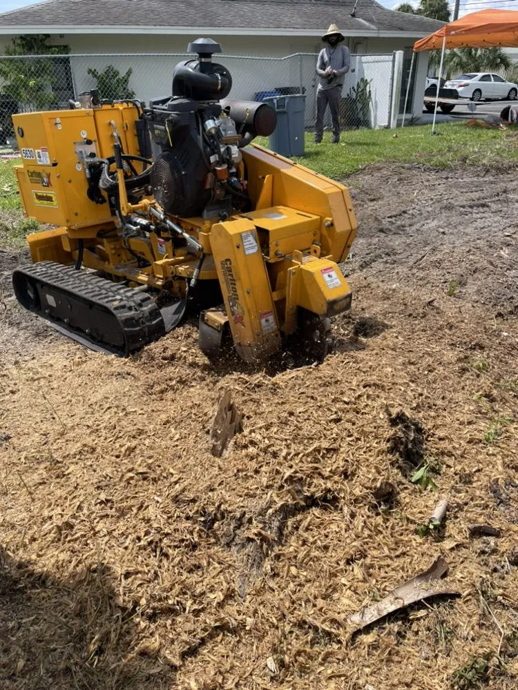 Affordable yard cleanup service near you in Brandon, FL by Precision Tree and Landscape