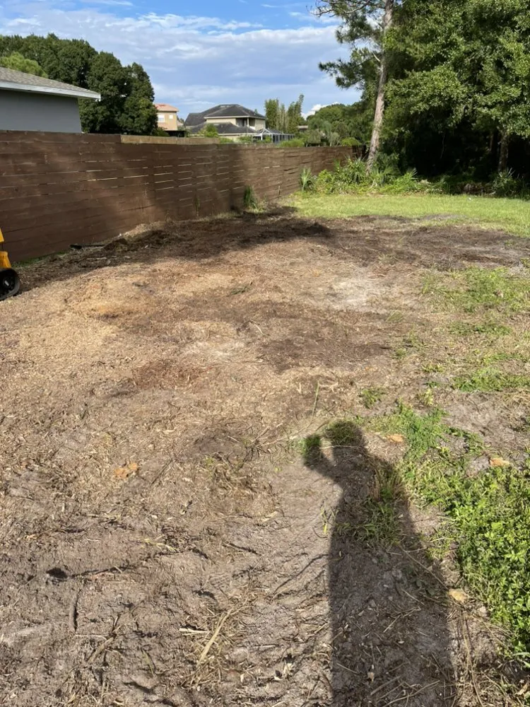 Local yard cleanup service experts serving Brandon, FL - Precision Tree and Landscape