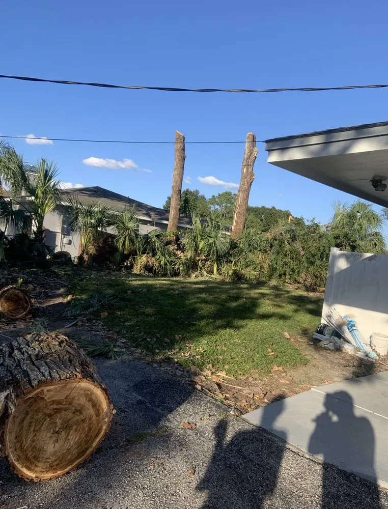 Custom residential landscaping for beautiful yards across Brandon, FL - Precision Tree and Landscape