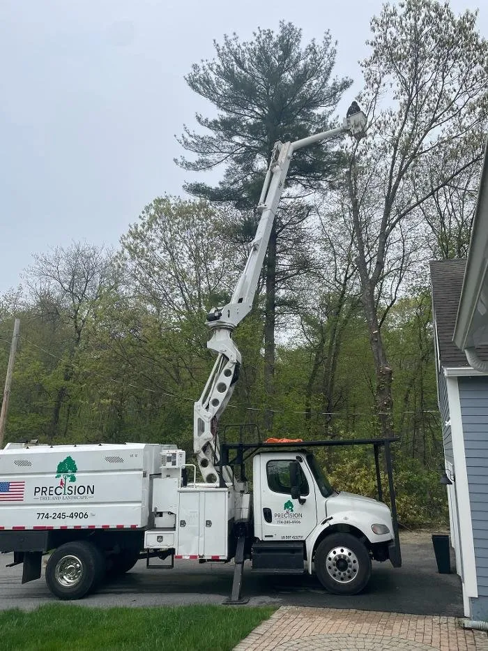 Local garden landscaping for homes across Hudson, MA - Precision Tree And Landscape