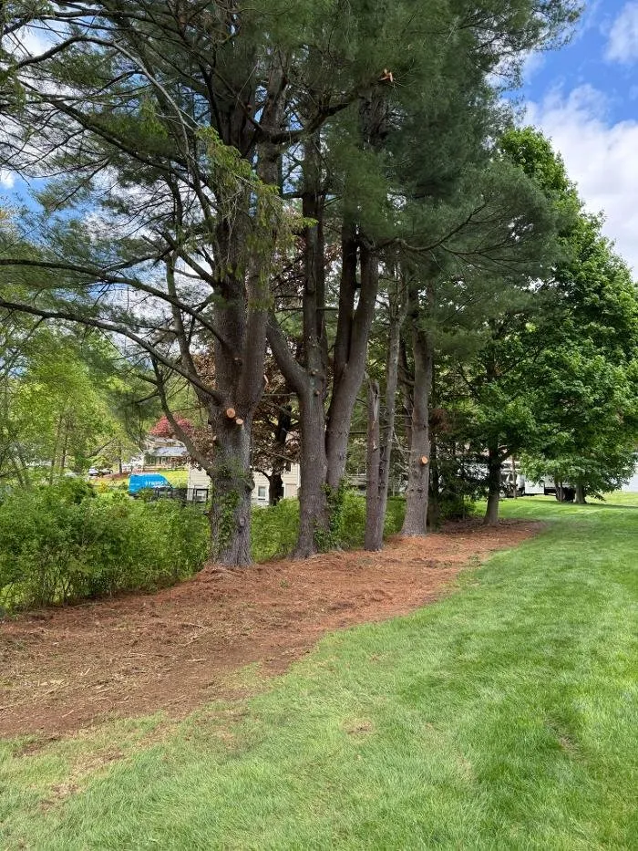 Local lawn mowing service in Hudson, MA by Precision Tree And Landscape