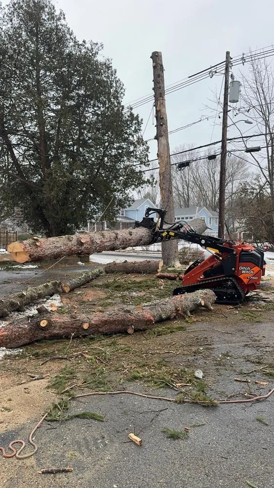 Trusted landscape installation for beautiful yards across Hudson, MA - Precision Tree And Landscape