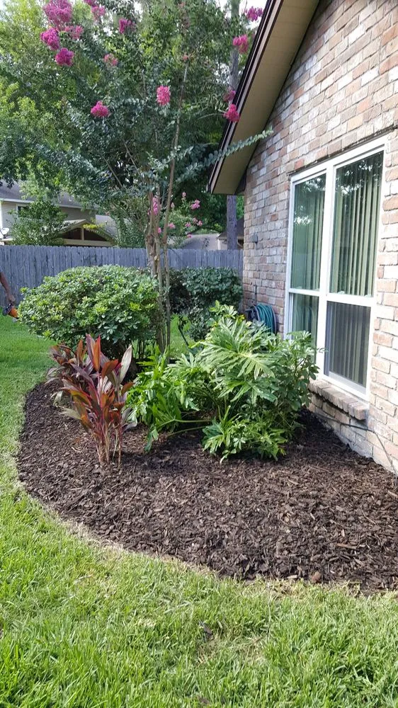 Affordable yard cleanup service experts serving Pearland, TX - Precision Tree and Landscaping