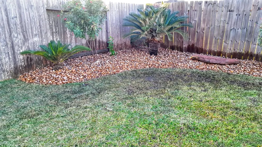 Affordable landscape installation in Pearland, TX by Precision Tree and Landscaping