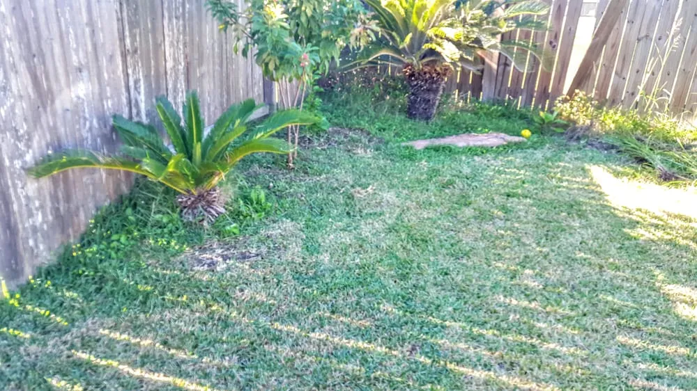 Local lawn mowing service experts serving Pearland, TX - Precision Tree and Landscaping