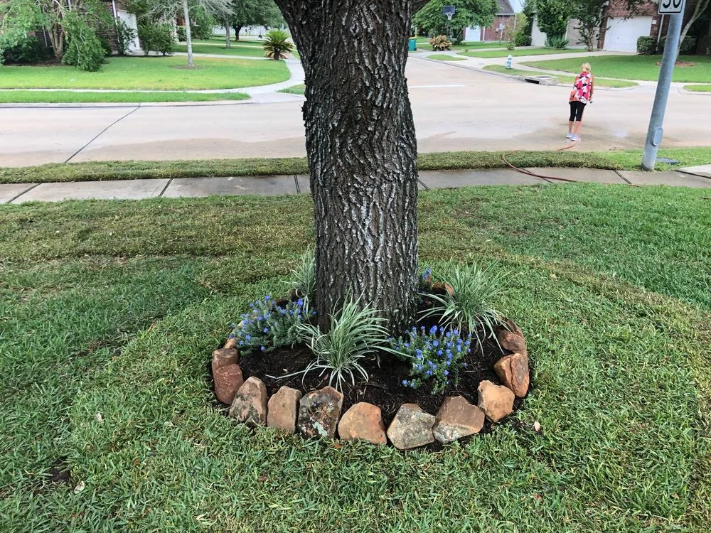 Professional landscape design in Pearland, TX - Precision Tree and Landscaping