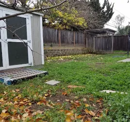 Affordable outdoor landscaping in Pearland, TX - Precision Tree and Landscaping