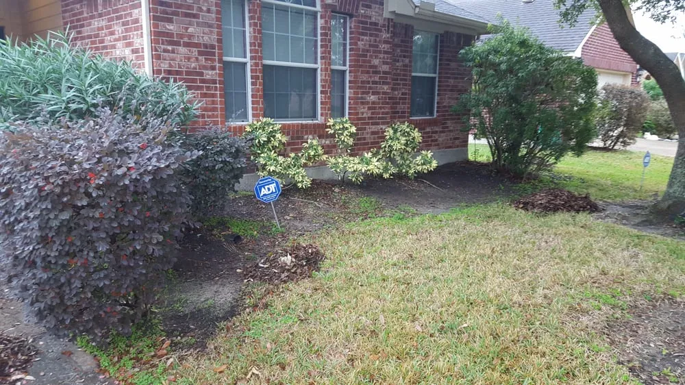 Trusted landscape installation for year-round maintenance in Pearland, TX by Precision Tree and Landscaping