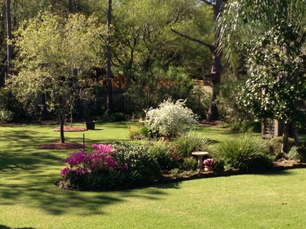 Affordable yard cleanup service in Pearland, TX - Precision Tree and Landscaping