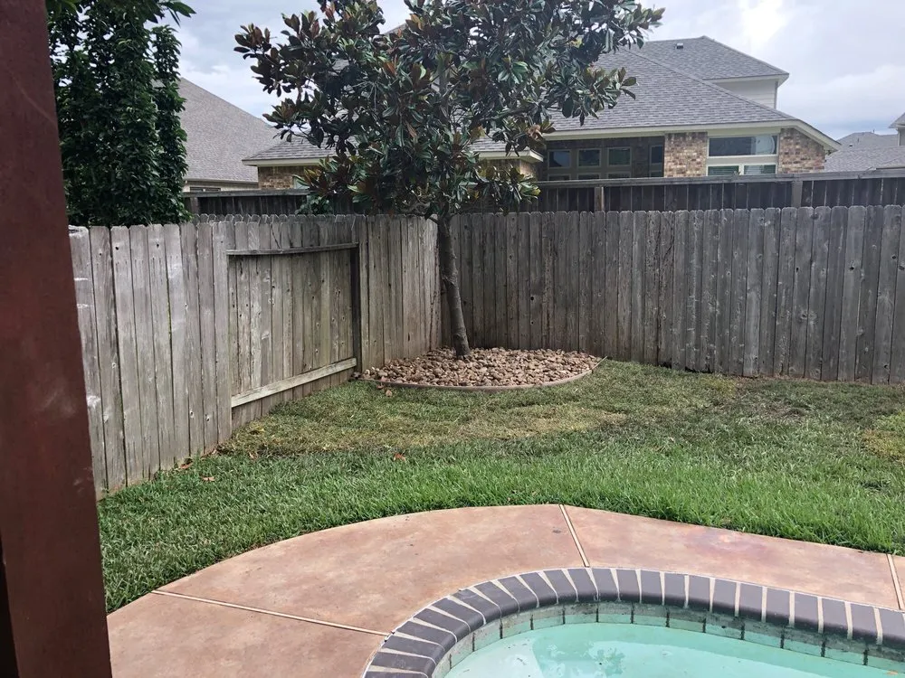 Professional landscape installation in Pearland, TX - Precision Tree and Landscaping