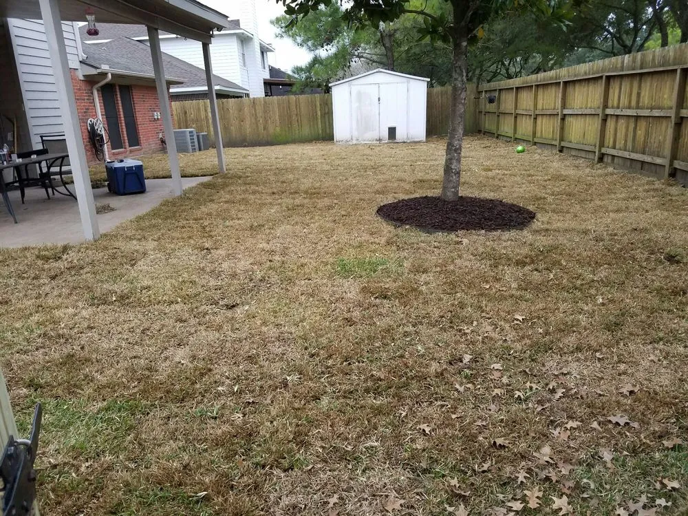 Custom lawn mowing service in Pearland, TX by Precision Tree and Landscaping