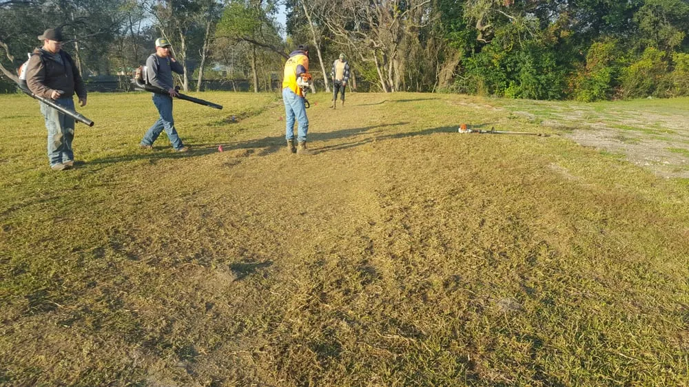 Reliable landscaping services in Pearland, TX - Precision Tree and Landscaping