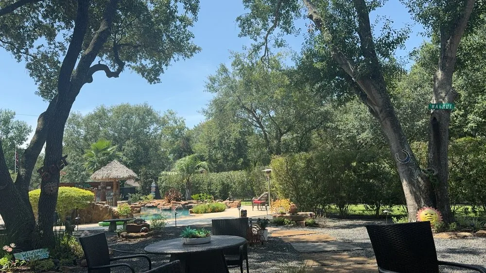 Professional landscape design for outdoor upgrades across Cypress, TX - Precision Tree Expert