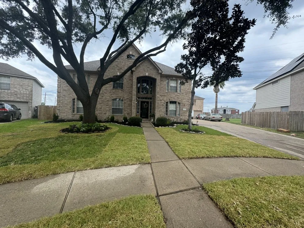 Trusted yard cleanup service in Cypress, TX - Precision Tree Expert