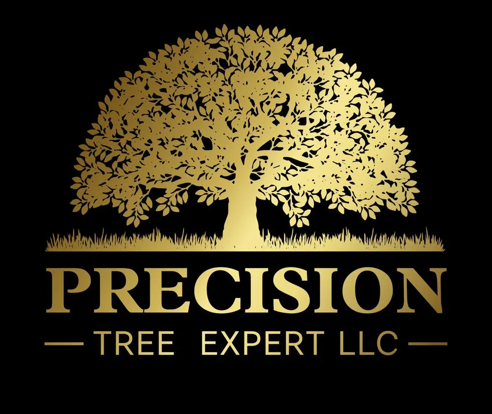 Professional landscape design for homes across Cypress, TX - Precision Tree Expert