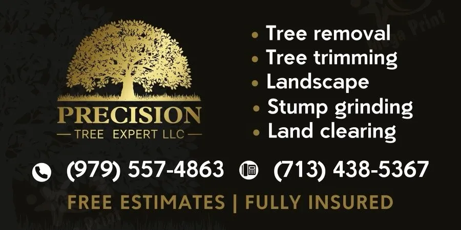 Top-rated lawn care service experts serving Cypress, TX - Precision Tree Expert