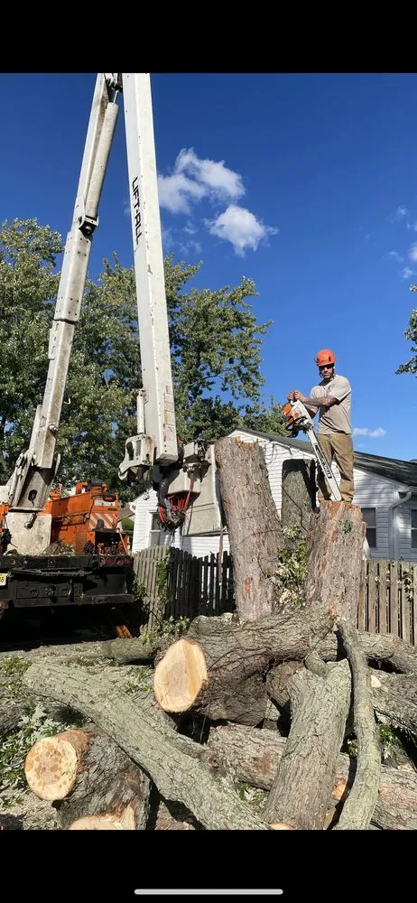 Professional outdoor landscaping experts serving Matawan, NJ - Precision Tree Experts