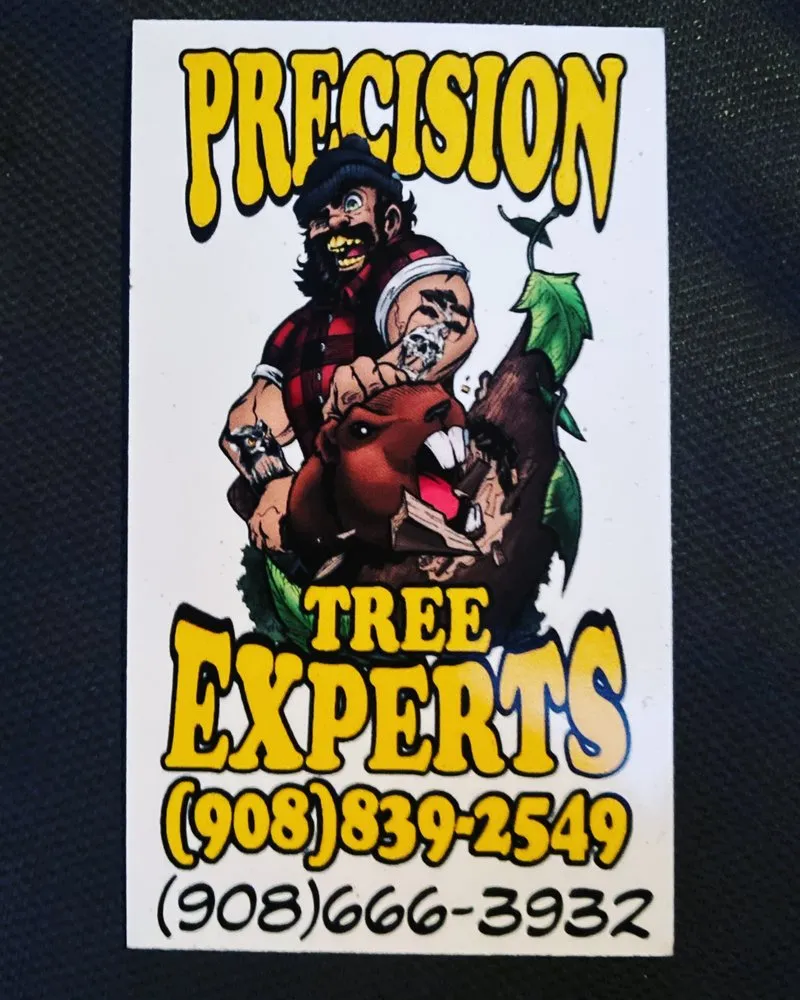 Professional residential landscaping experts serving Matawan, NJ - Precision Tree Experts