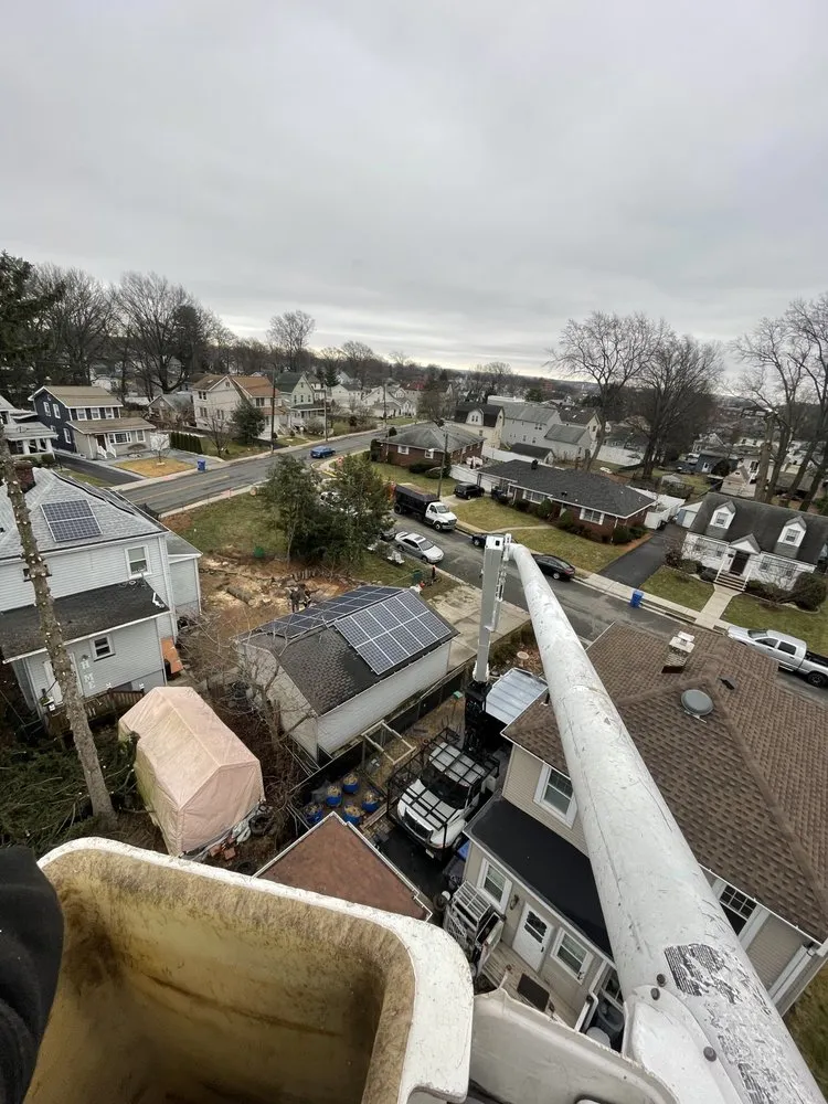 Reliable lawn mowing service with custom design across Matawan, NJ - Precision Tree Experts