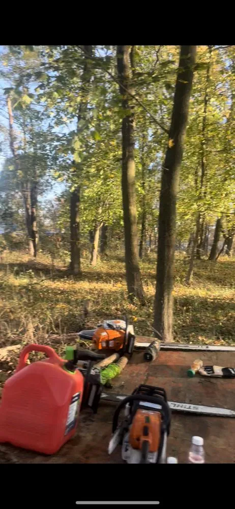 Top-rated yard maintenance for beautiful yards across Matawan, NJ - Precision Tree Experts