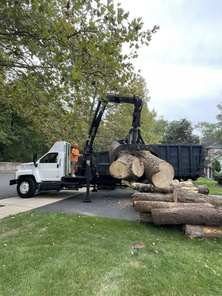 Professional lawn care service experts serving Matawan, NJ - Precision Tree Experts