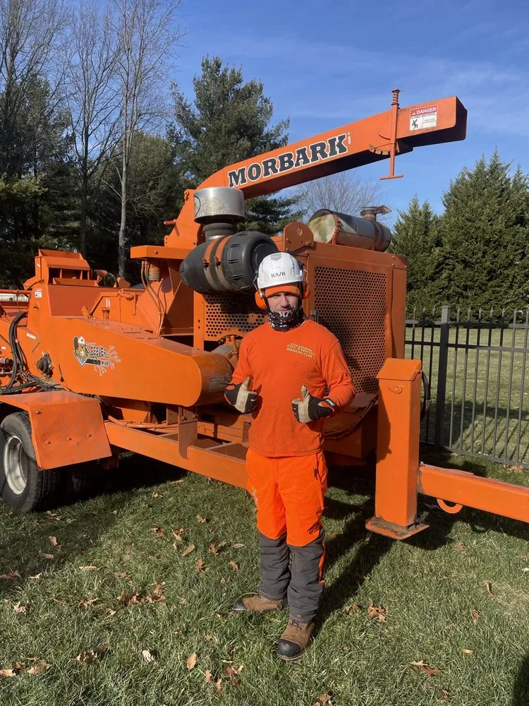 Professional yard cleanup service in Matawan, NJ - Precision Tree Experts