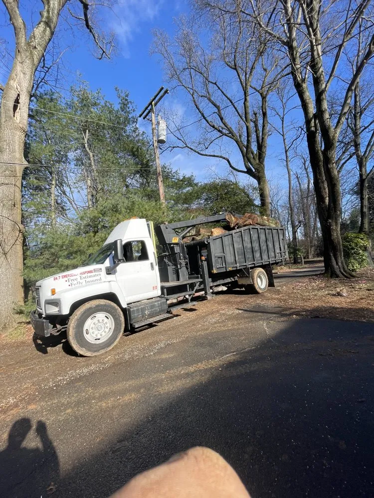 Trusted landscape design for outdoor upgrades across Matawan, NJ - Precision Tree Experts