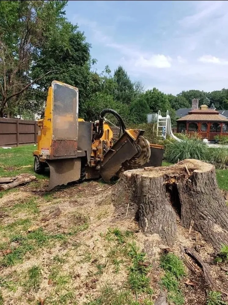 Professional residential landscaping experts serving Matawan, NJ - Precision Tree Experts