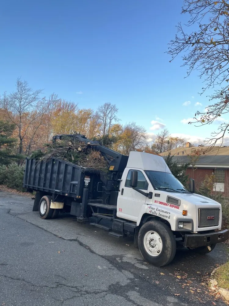 Trusted landscaping services for beautiful yards in Matawan, NJ by Precision Tree Experts