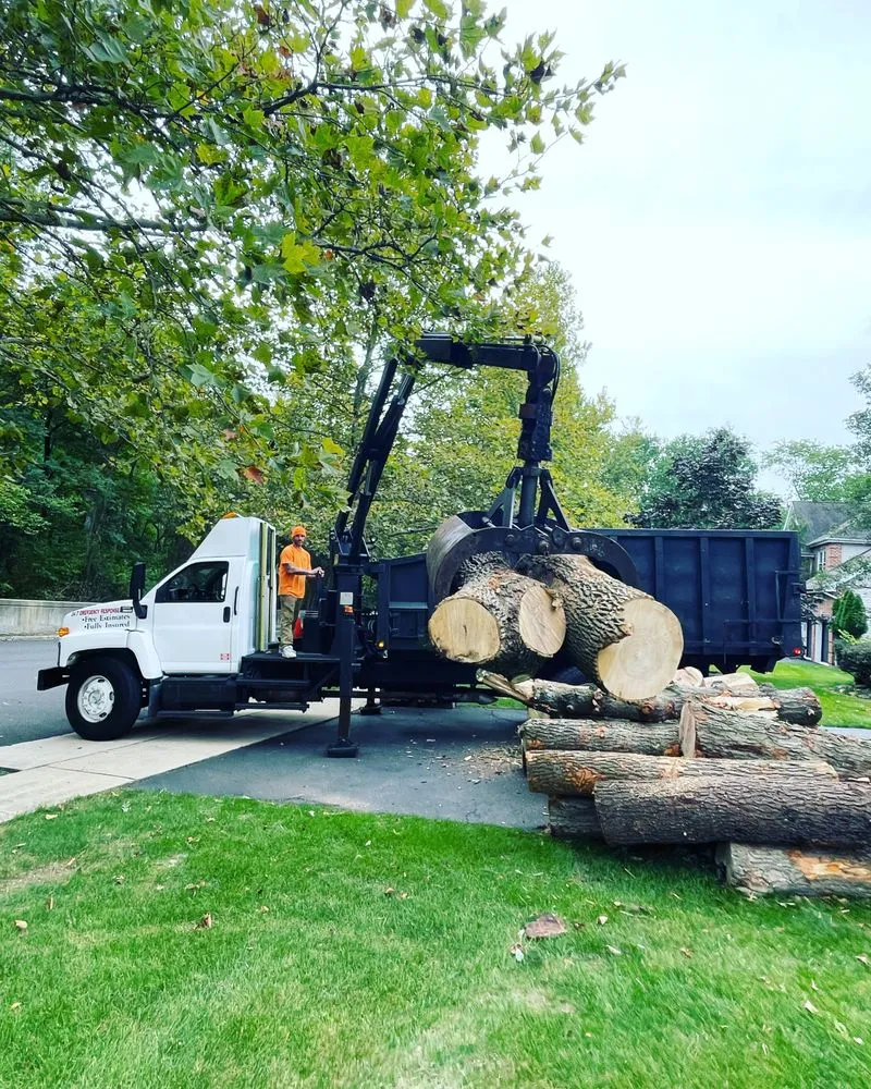 Professional yard maintenance for homes in Matawan, NJ by Precision Tree Experts