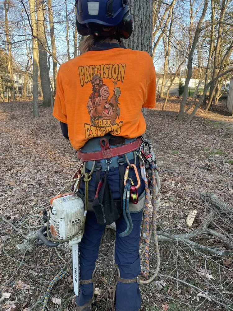 Affordable yard cleanup service in Matawan, NJ by Precision Tree Experts