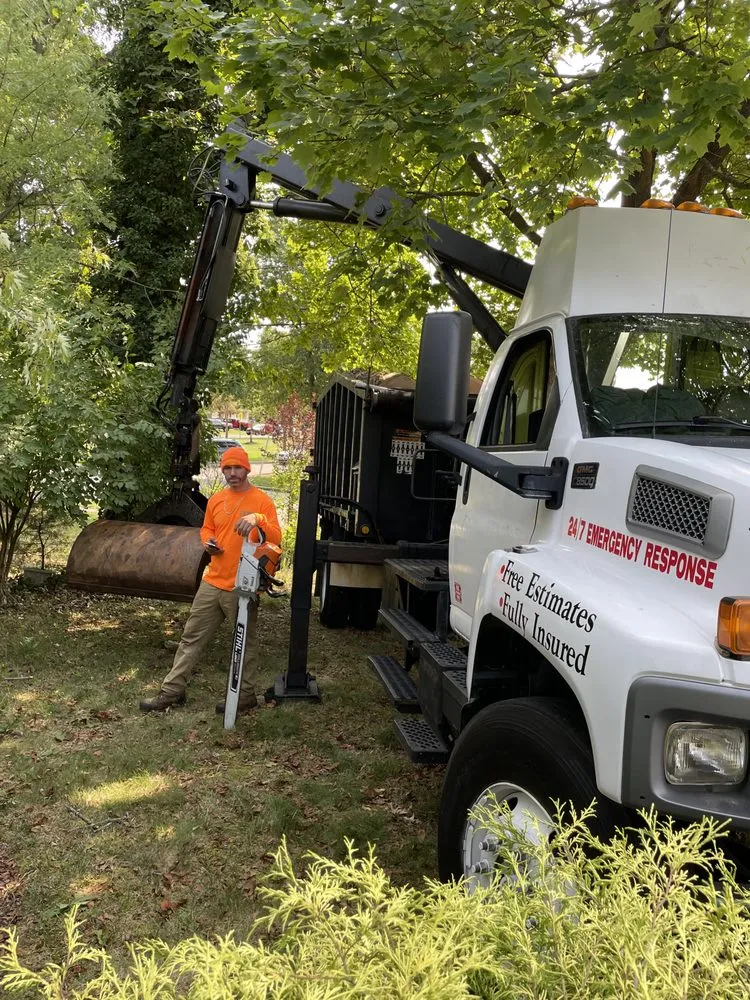 Local garden landscaping for year-round maintenance in Matawan, NJ by Precision Tree Experts