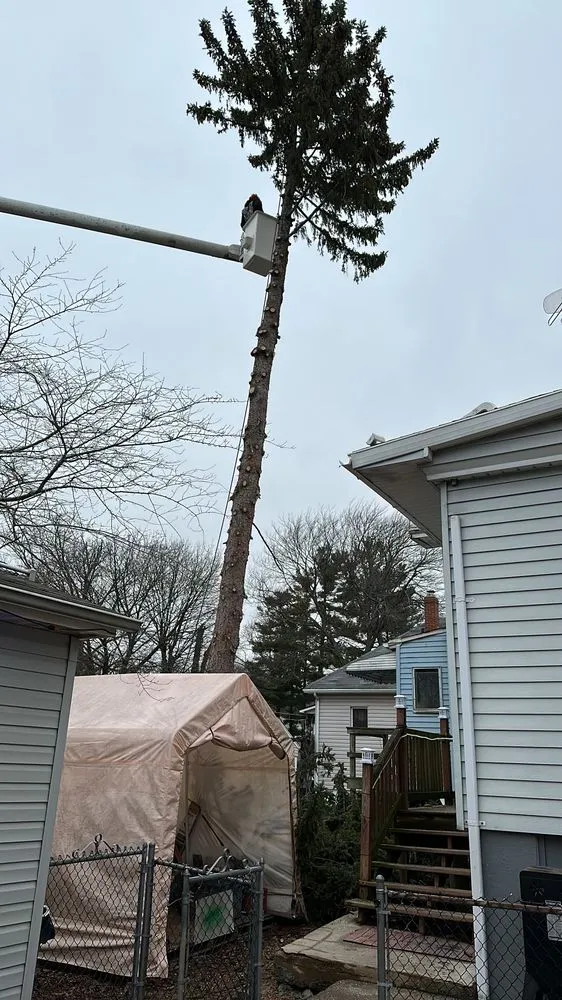 Top-rated garden landscaping in Matawan, NJ - Precision Tree Experts