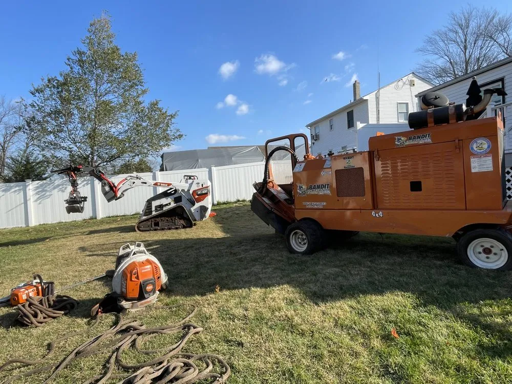 Local yard maintenance in Matawan, NJ - Precision Tree Experts