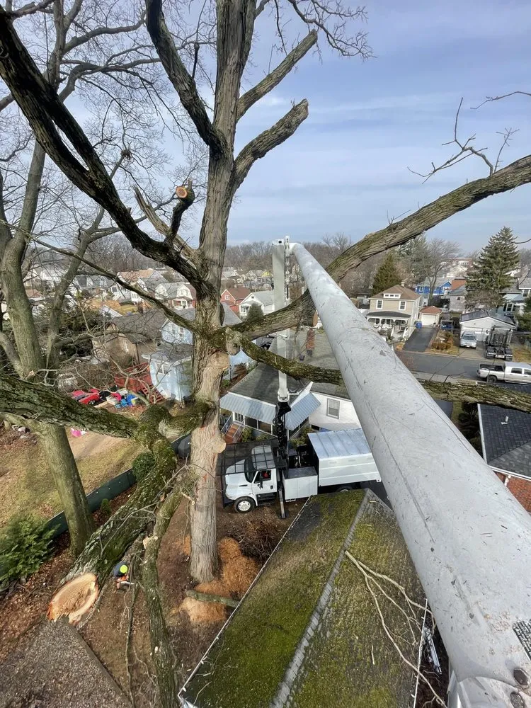 Trusted residential landscaping for year-round maintenance in Matawan, NJ by Precision Tree Experts