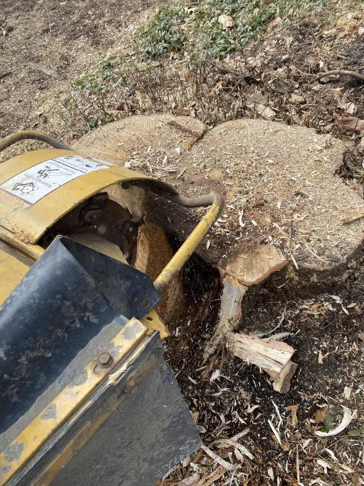 Top-rated residential landscaping for year-round maintenance across Ravena, NY - Precision Tree Service And Landscaping