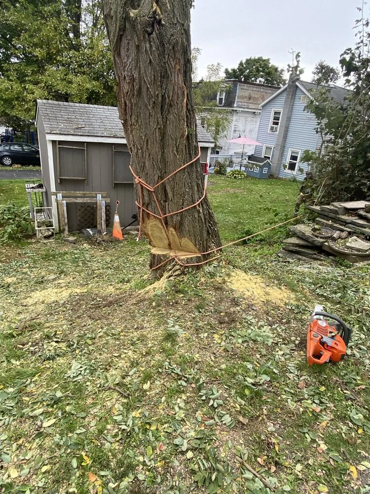 Local yard maintenance for residential properties in Ravena, NY by Precision Tree Service And Landscaping