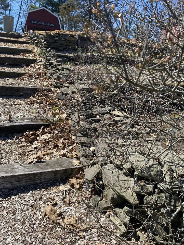 Custom landscaping services with custom design in Ravena, NY by Precision Tree Service And Landscaping