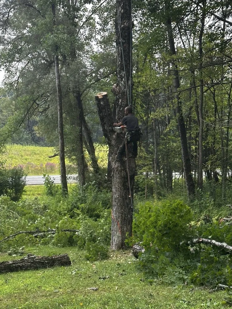 Trusted landscape design experts serving Ravena, NY - Precision Tree Service And Landscaping