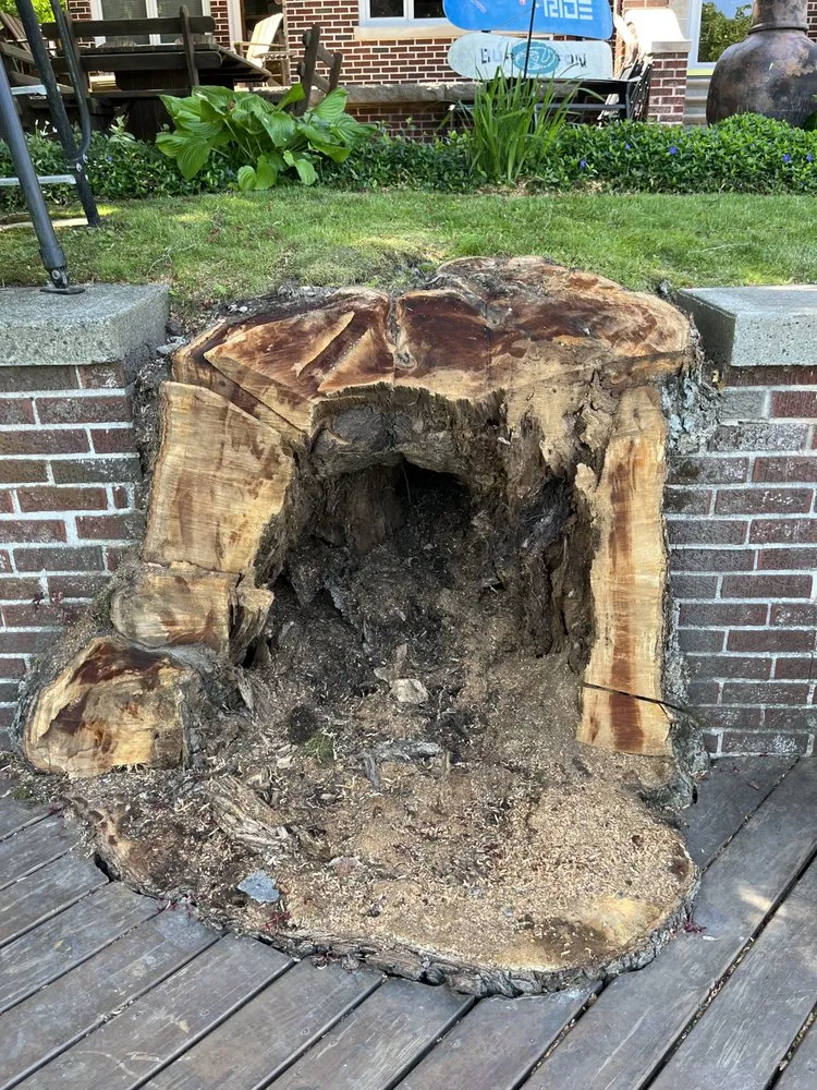 Professional garden landscaping experts serving Ravena, NY - Precision Tree Service And Landscaping