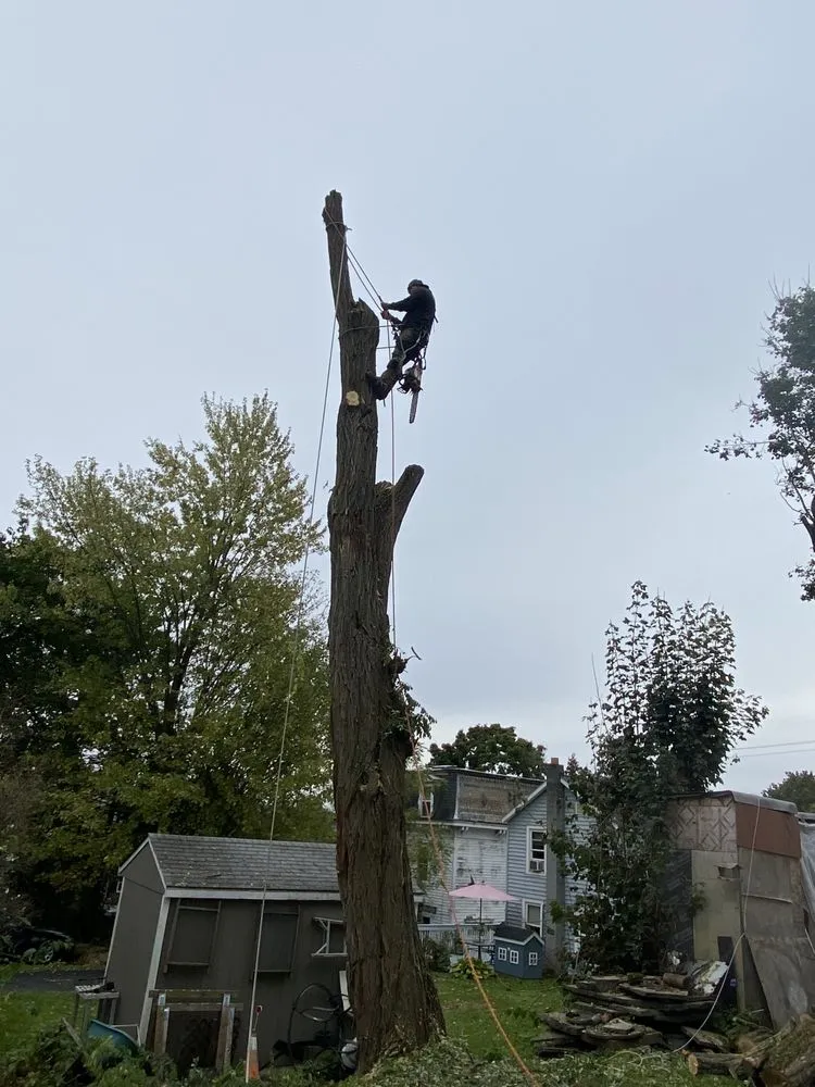 Local yard maintenance in Ravena, NY by Precision Tree Service And Landscaping