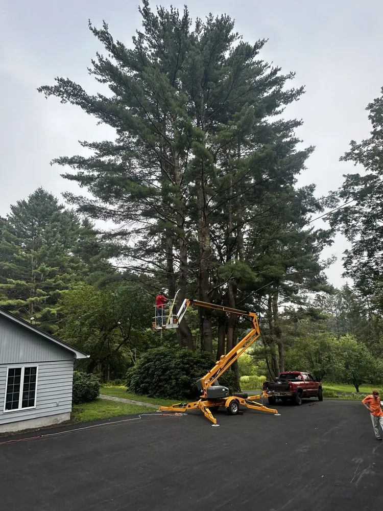 Local landscape installation experts serving Ravena, NY - Precision Tree Service And Landscaping