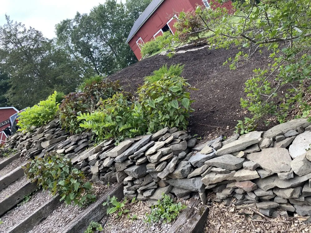 Reliable yard cleanup service in Ravena, NY - Precision Tree Service And Landscaping