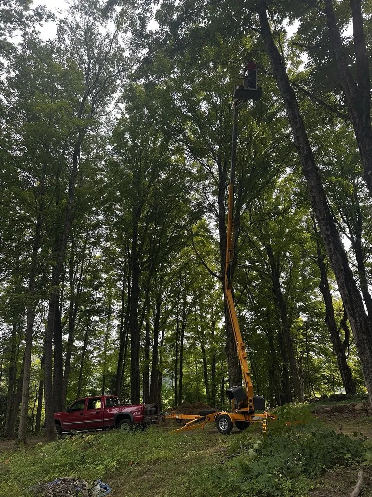 Expert yard cleanup service experts serving Ravena, NY - Precision Tree Service And Landscaping